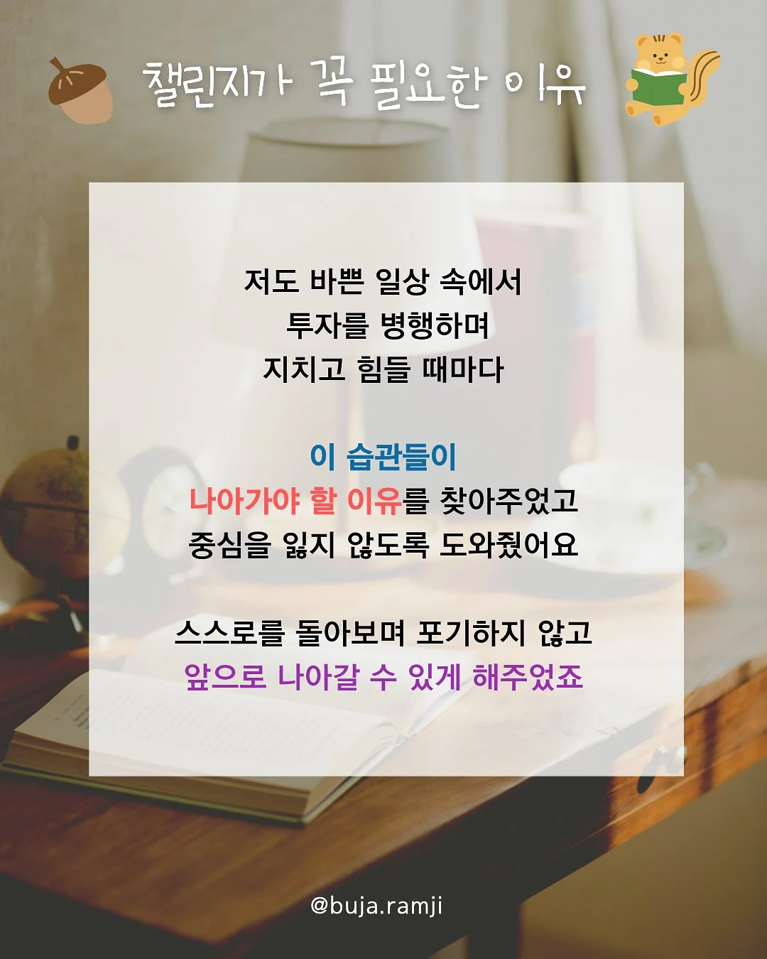월렛백 7