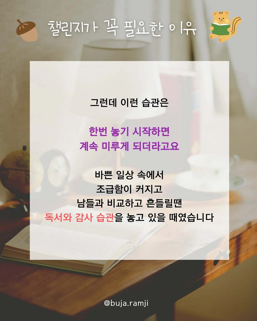 월렛백 8