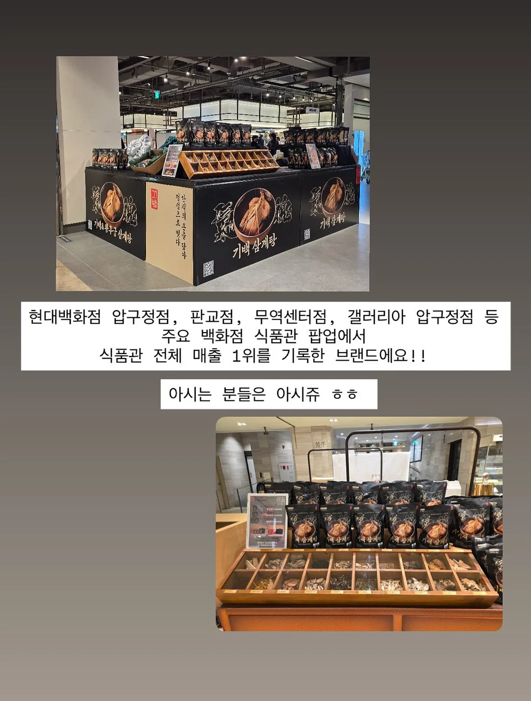 비숑 박스피그반팔롱티셔츠 2