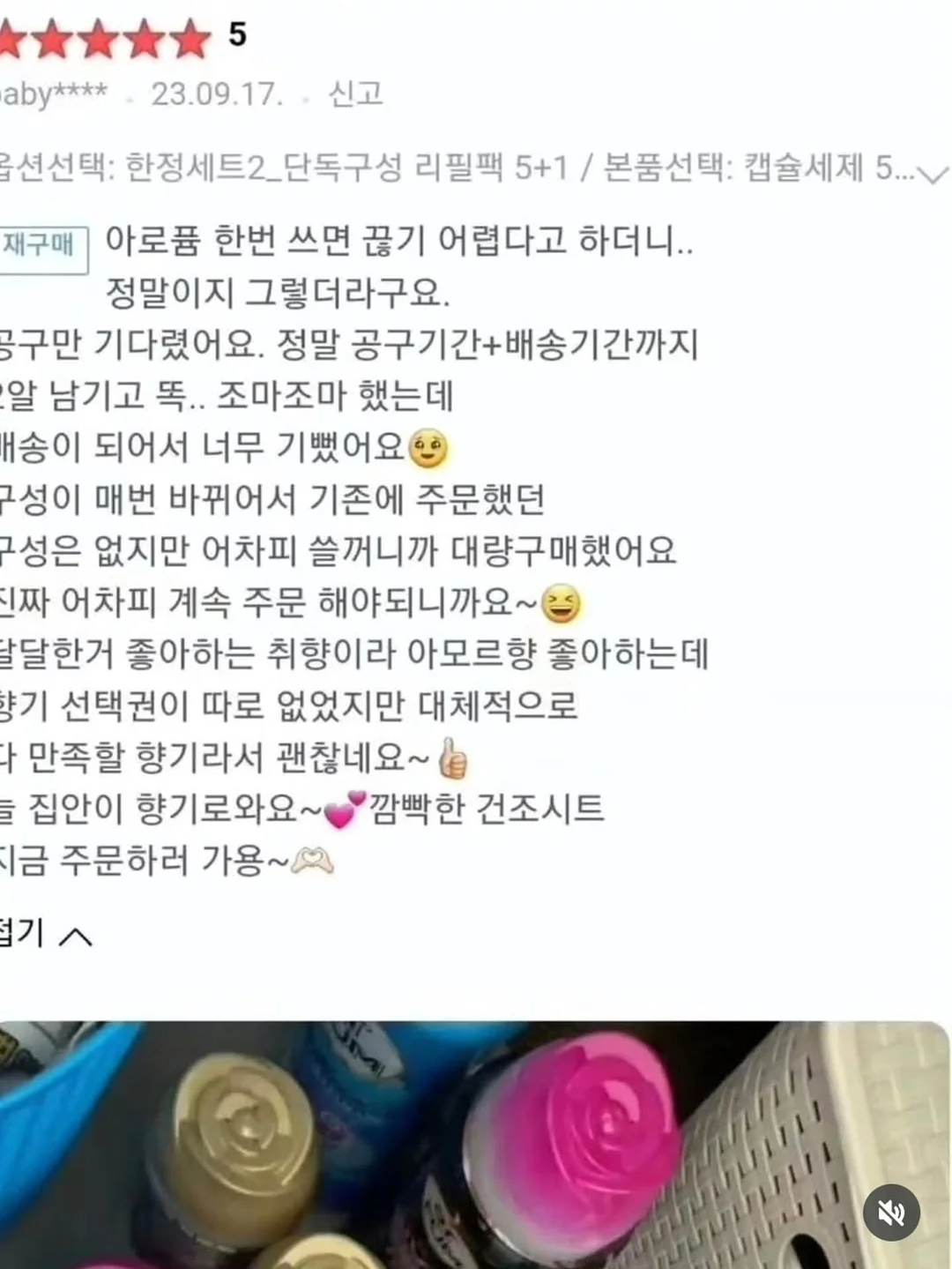 핑크 블루베리 11
