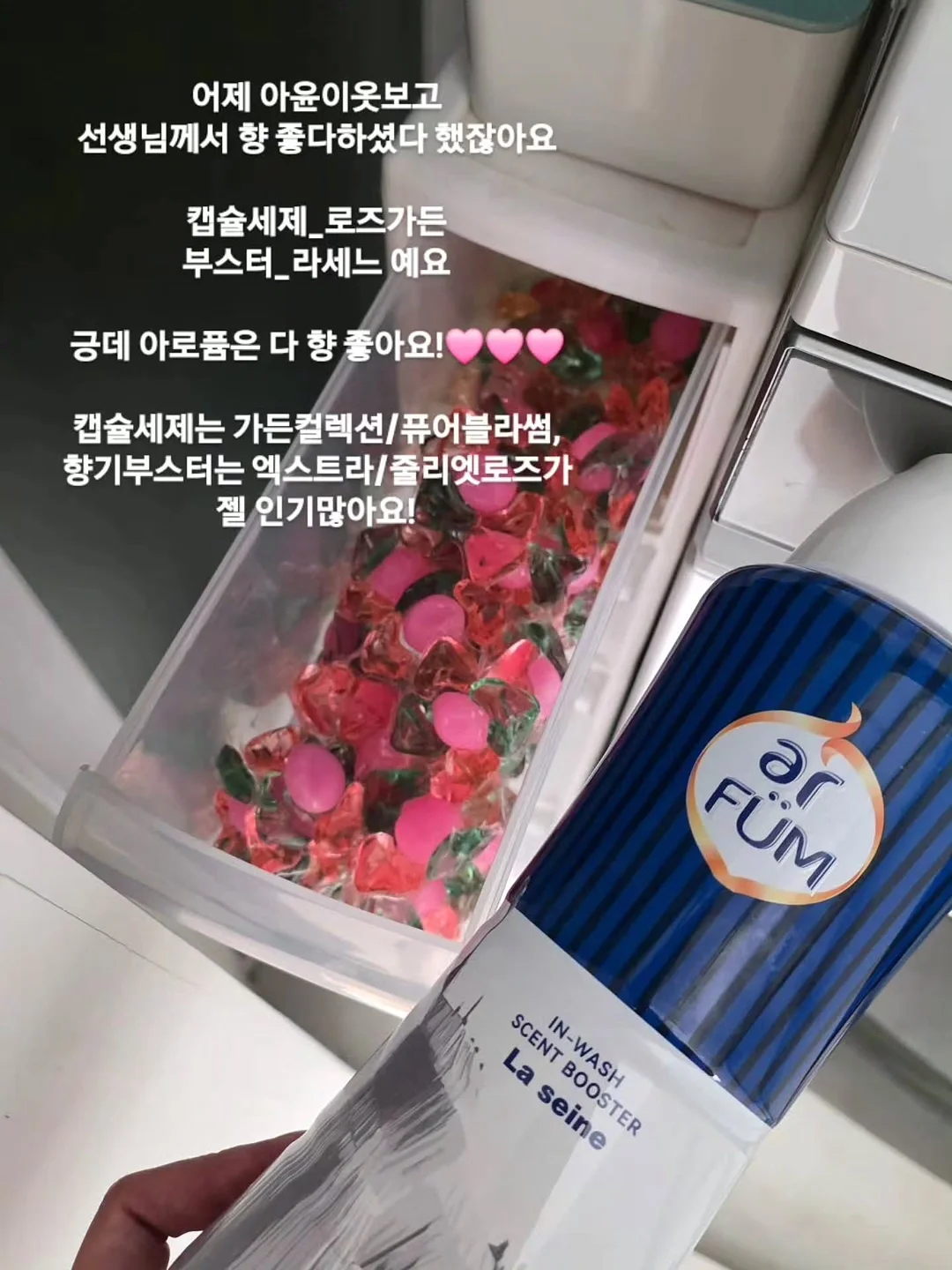핑크 블루베리 2