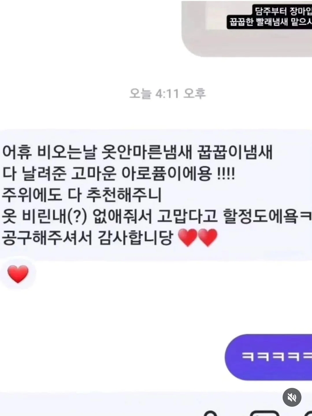 핑크 블루베리 5