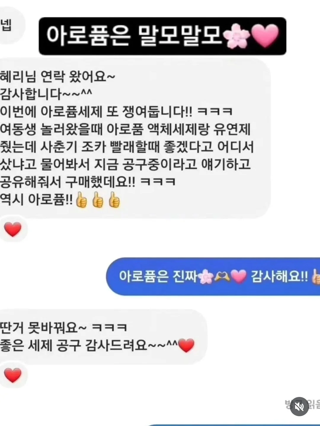 핑크 블루베리 6