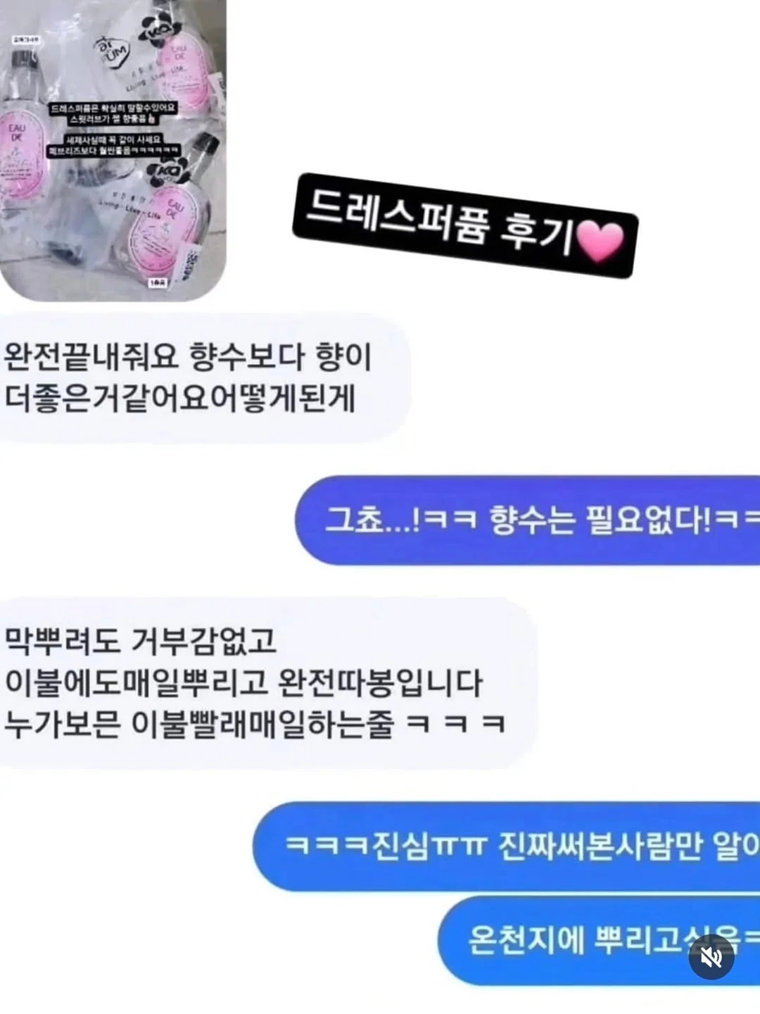 핑크 블루베리 8
