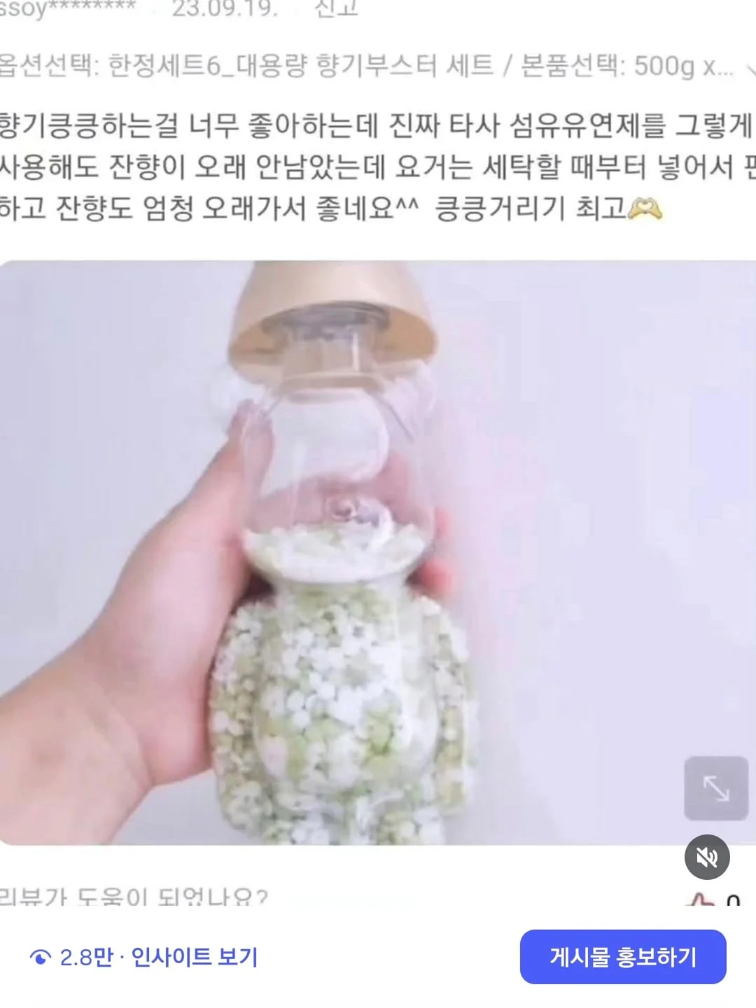 핑크 블루베리 9
