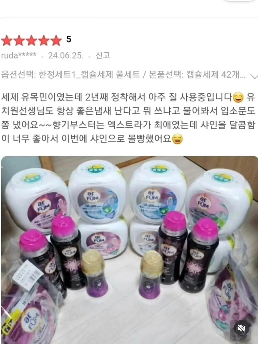 핑크 블루베리 10