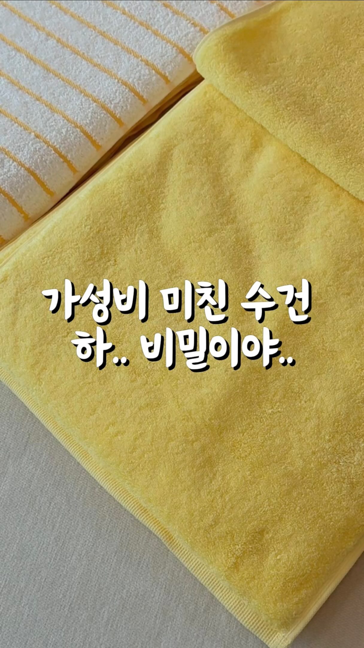 일렉트로룩스 500 라이트 청소기