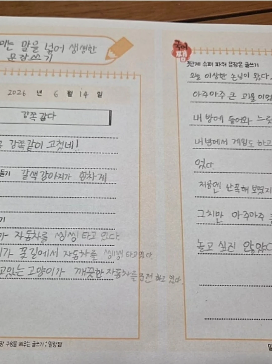 변색 선글라스, 블랙 선글라스, 부스터샷 19