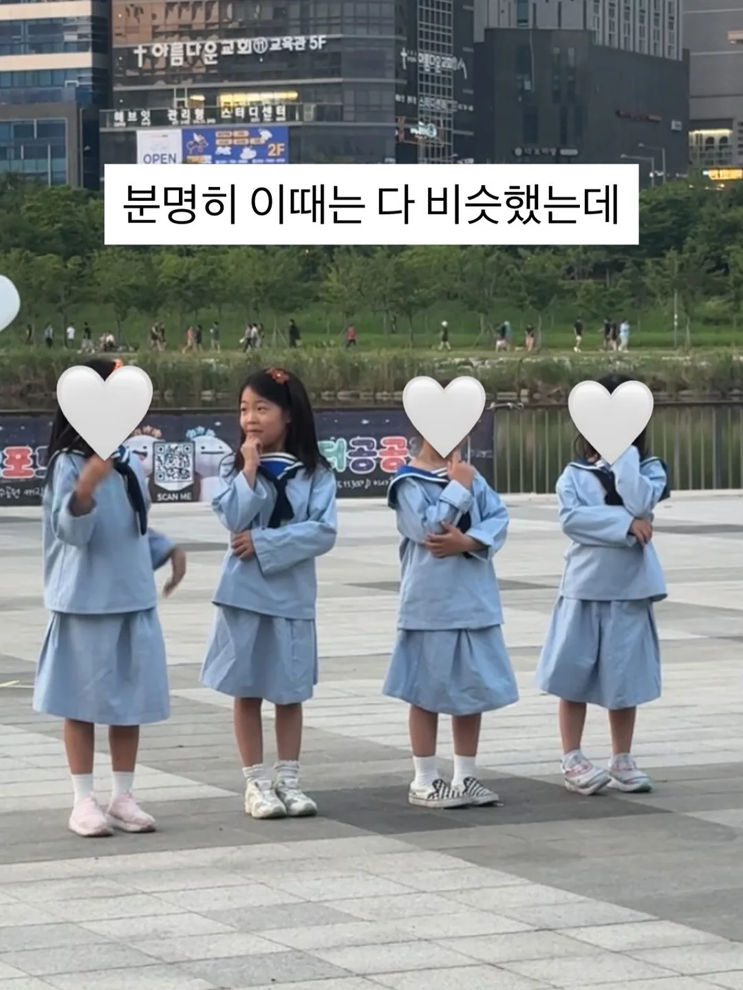 리틀티니 아기돼지 세트 12