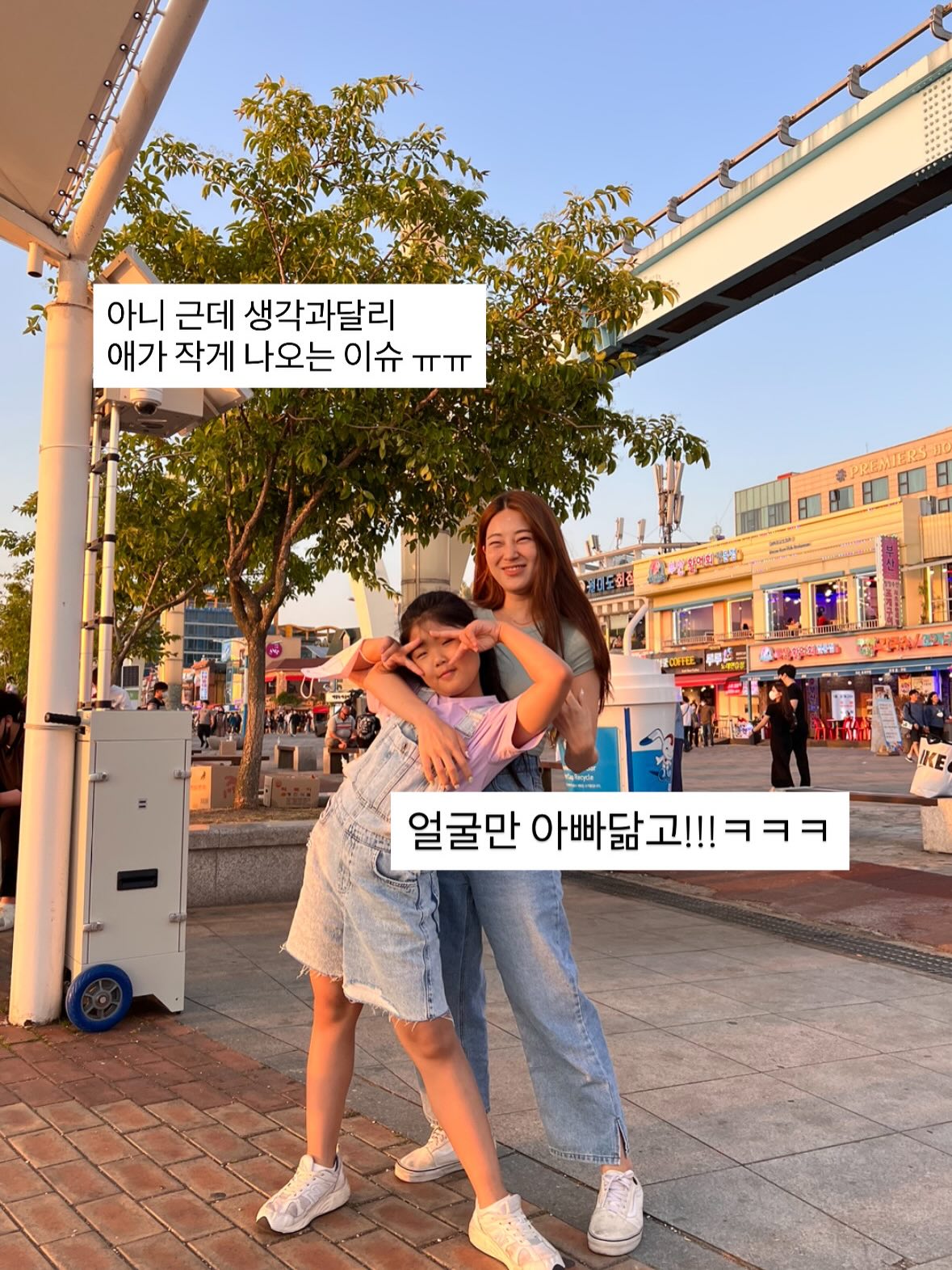 리틀티니 아기돼지 세트 4