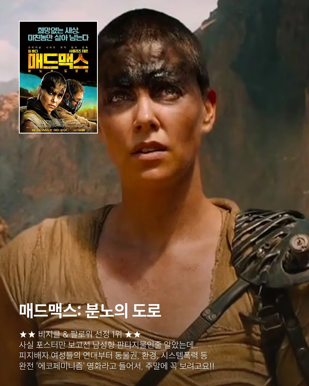 덴파레 부케 3