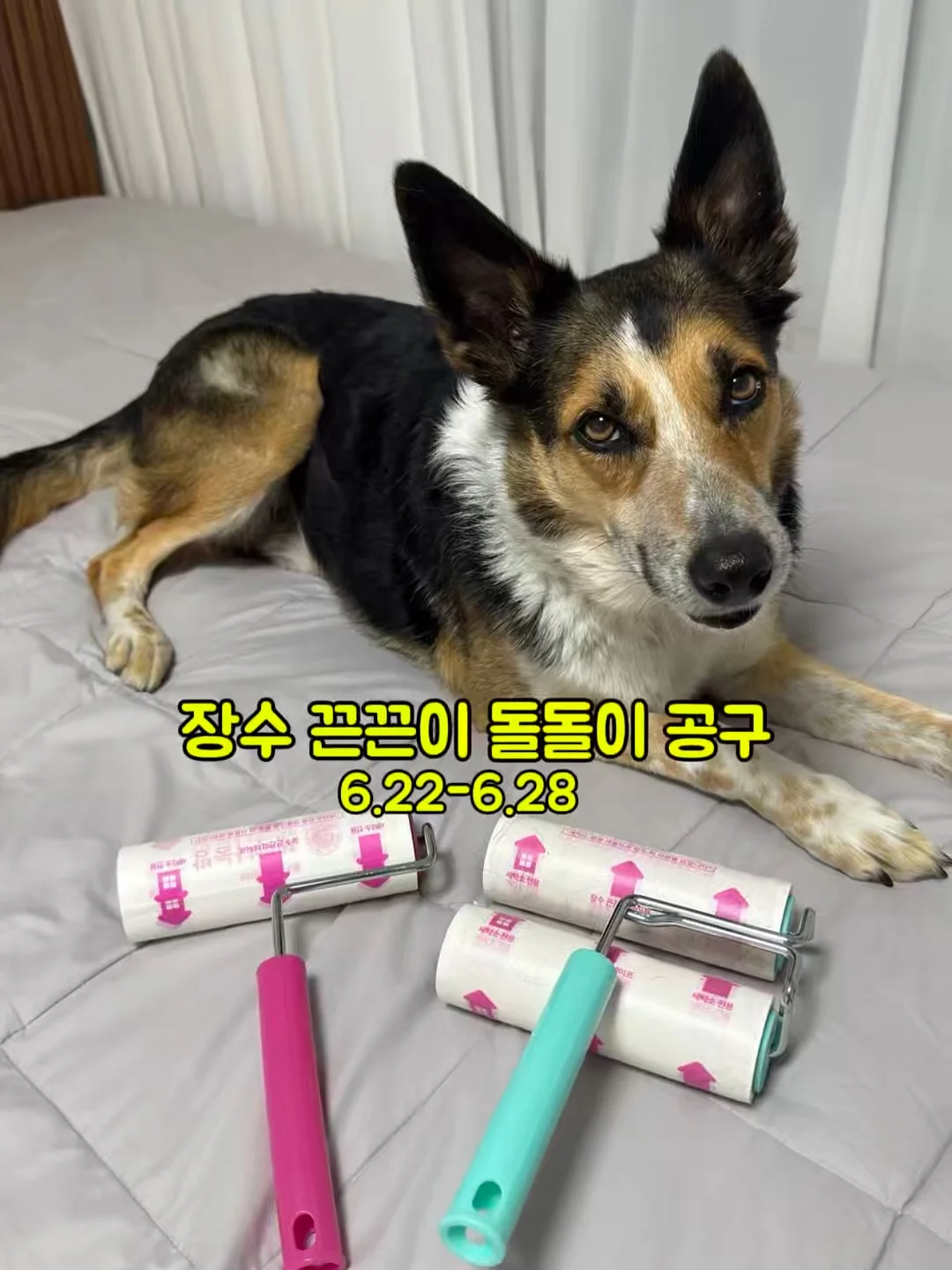 휴대용 온수기 1