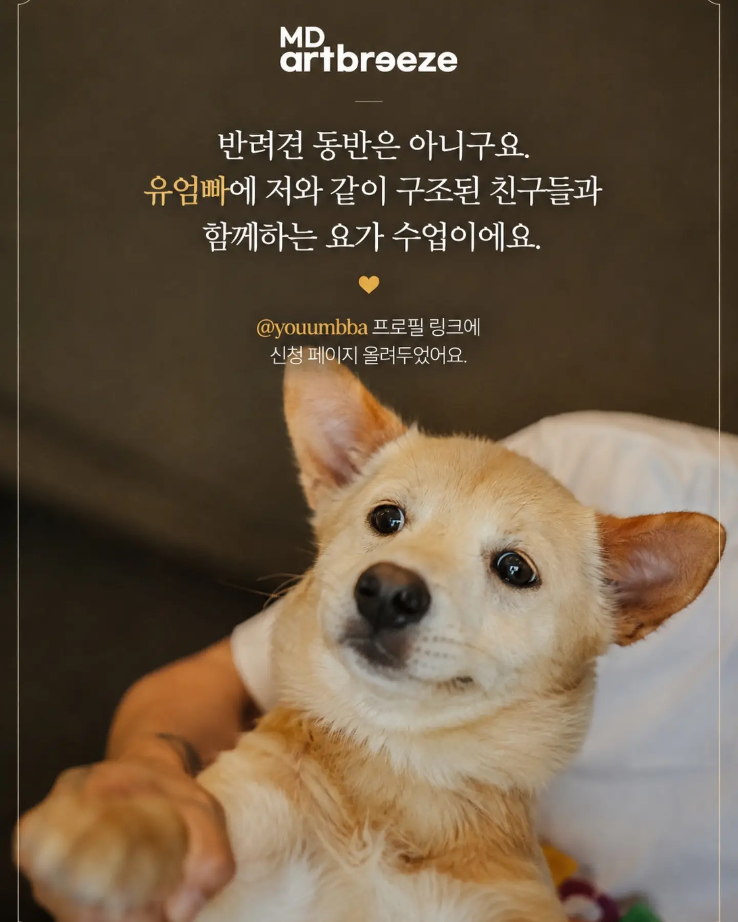 핀턱 트임 티셔츠 여름 버전 2