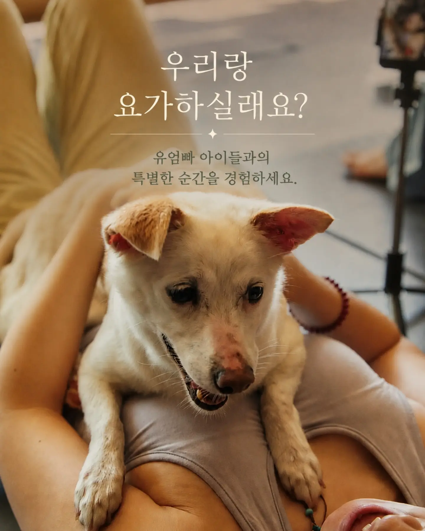 핀턱 트임 티셔츠 여름 버전 5