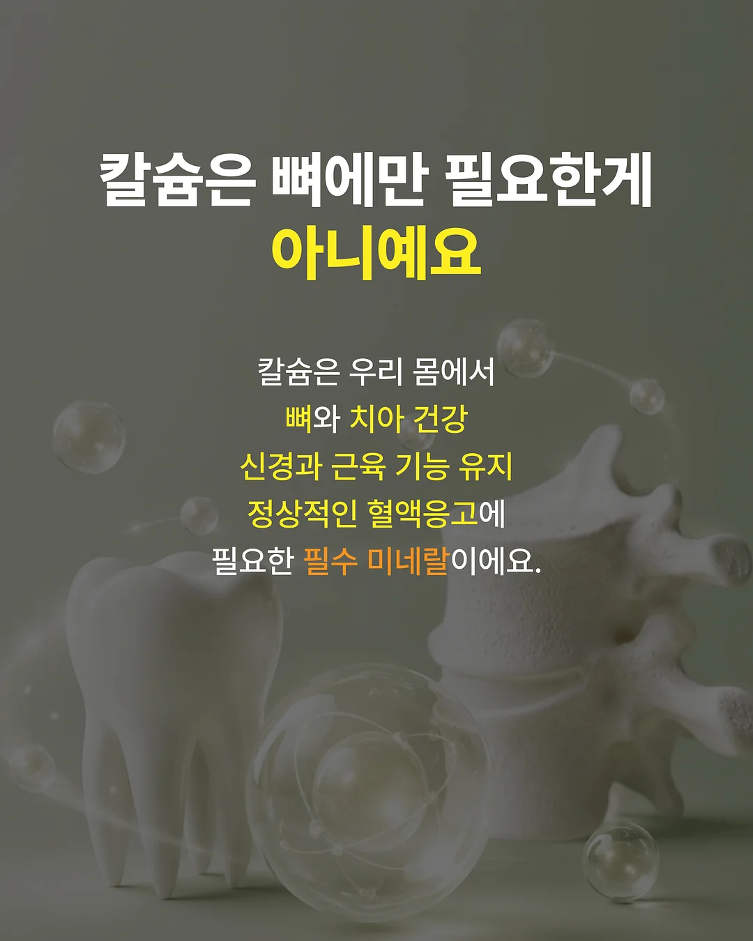 밤부케이 야자수 모달 블렌디드 반팔 셔츠 3