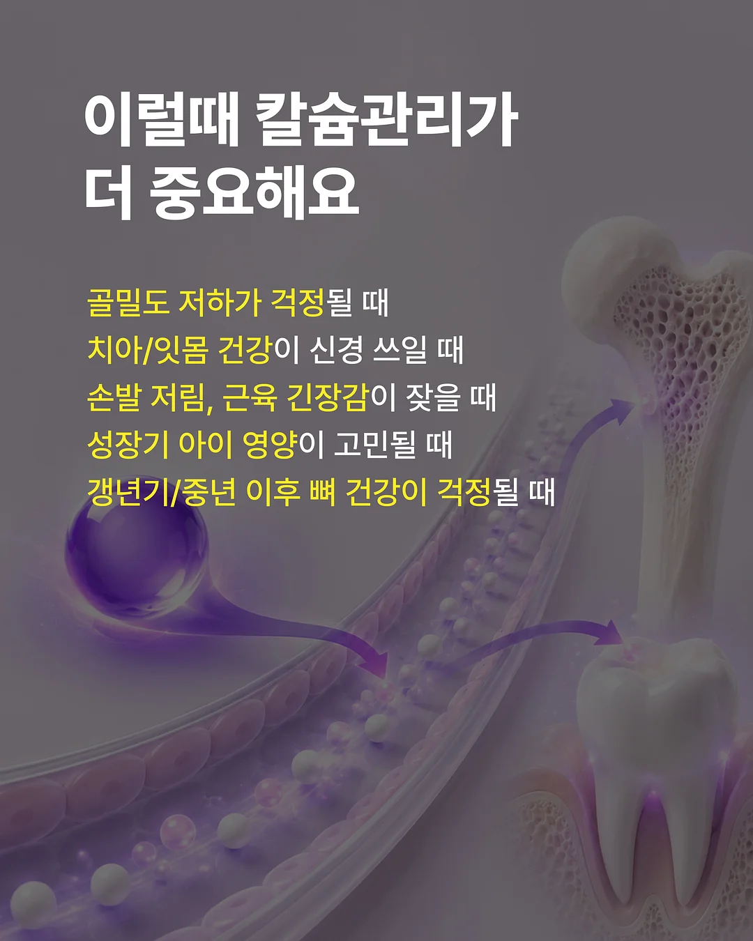 밤부케이 야자수 모달 블렌디드 반팔 셔츠 4
