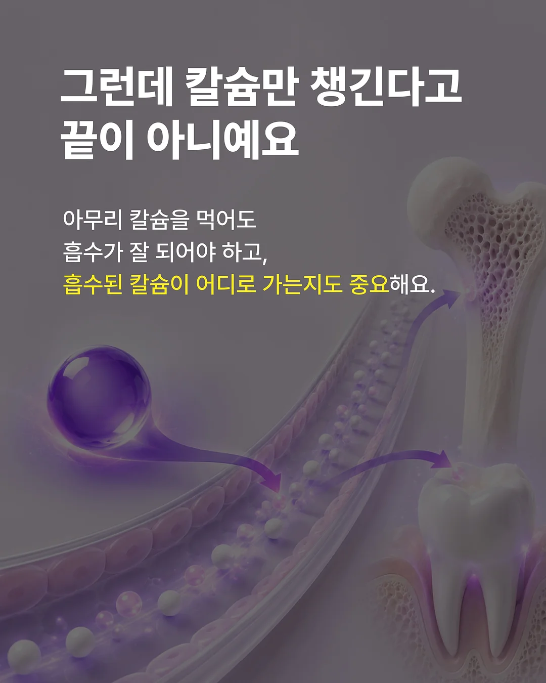밤부케이 야자수 모달 블렌디드 반팔 셔츠 5