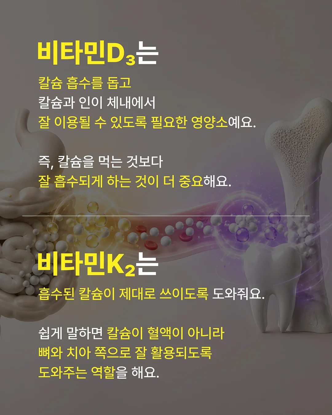 밤부케이 야자수 모달 블렌디드 반팔 셔츠 6