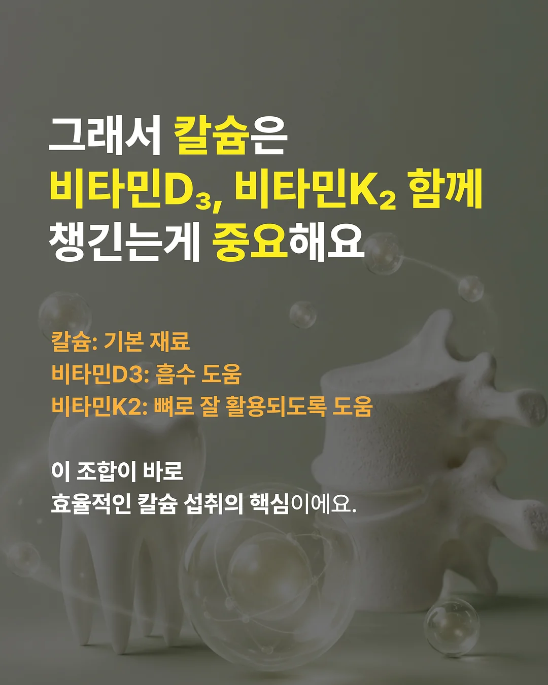 밤부케이 야자수 모달 블렌디드 반팔 셔츠 7
