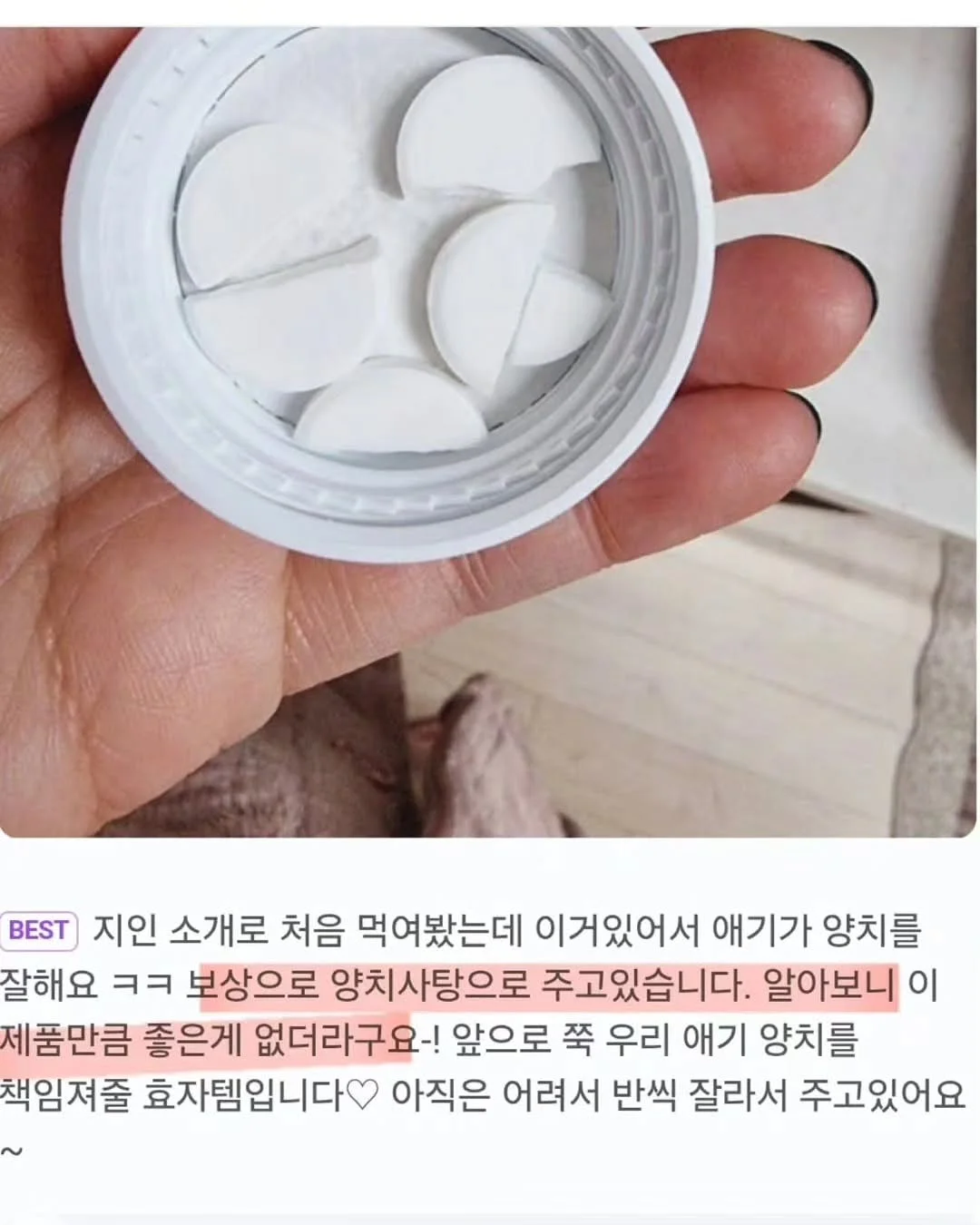 아이스크림 메이커 10