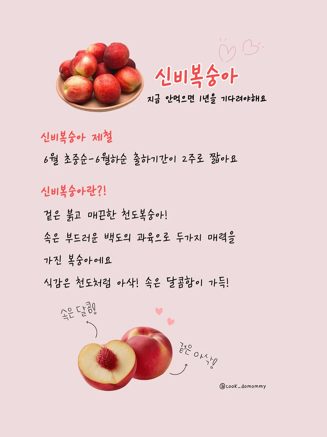 니즈 롱 맥시 스커트 4