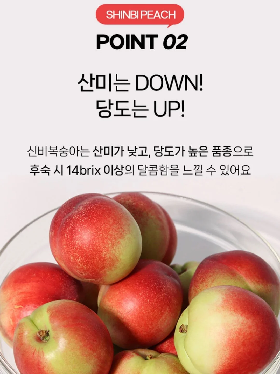 니즈 롱 맥시 스커트 7
