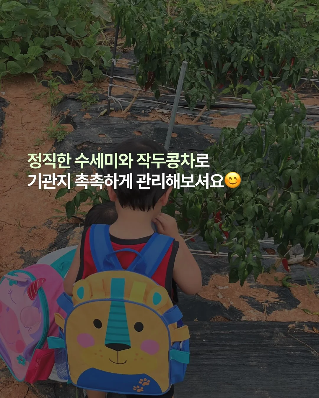 샤넬 빈티지 체인백 10