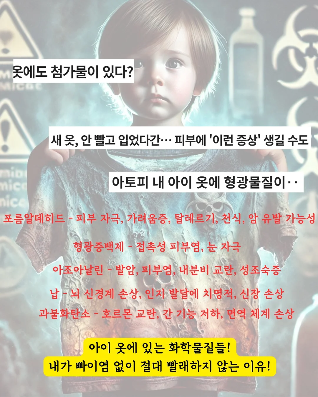 양파 2