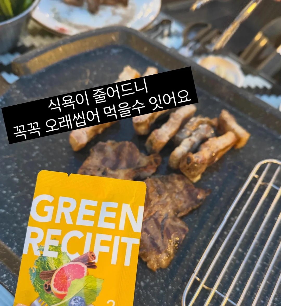 녹담비책 3