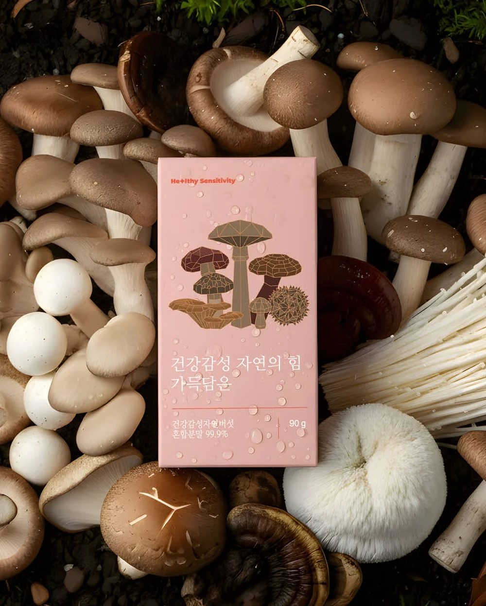 볼렉시 힙쎄라 4