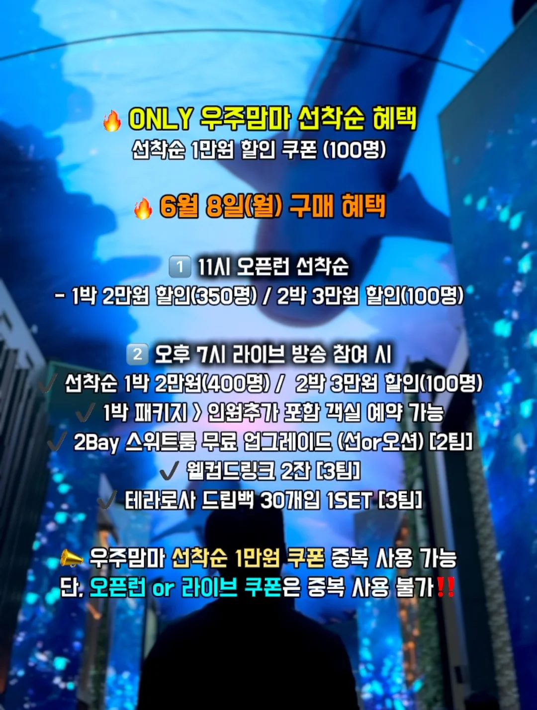 단오 4종 세트 3