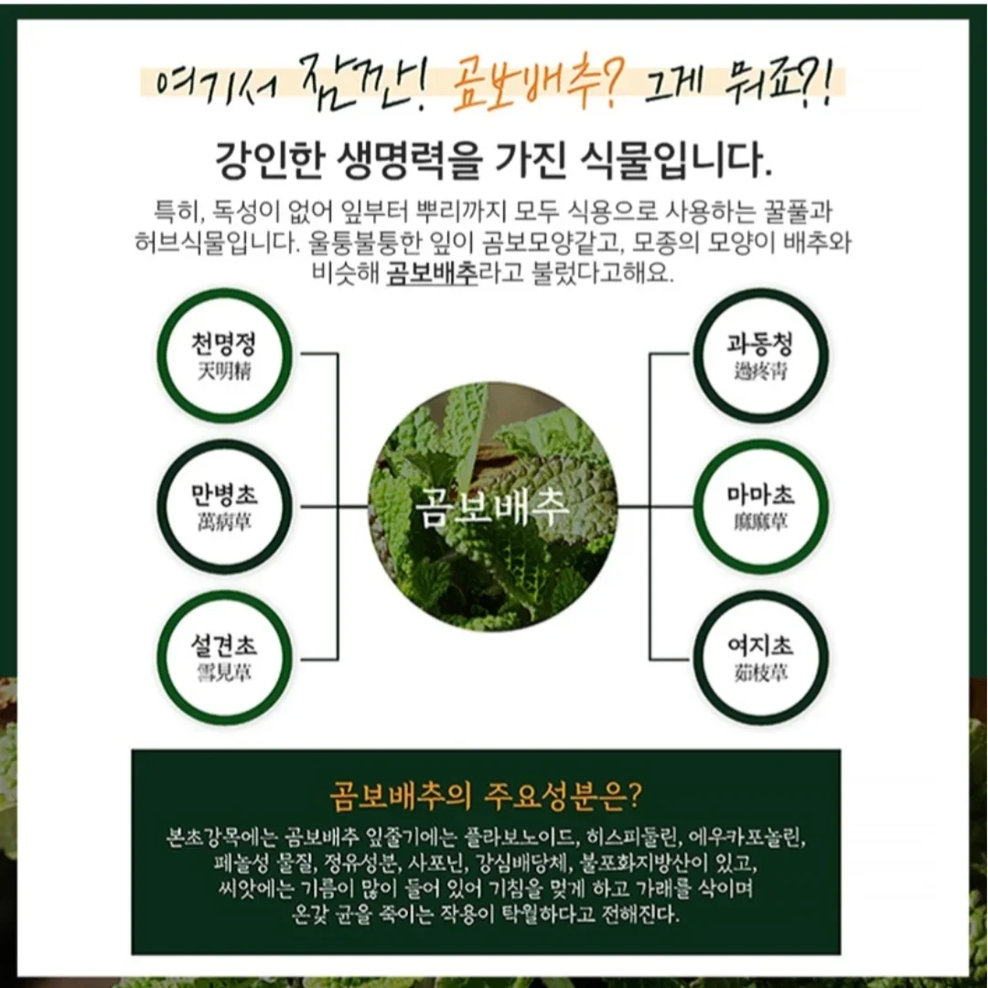 마이너스쉐이크 2