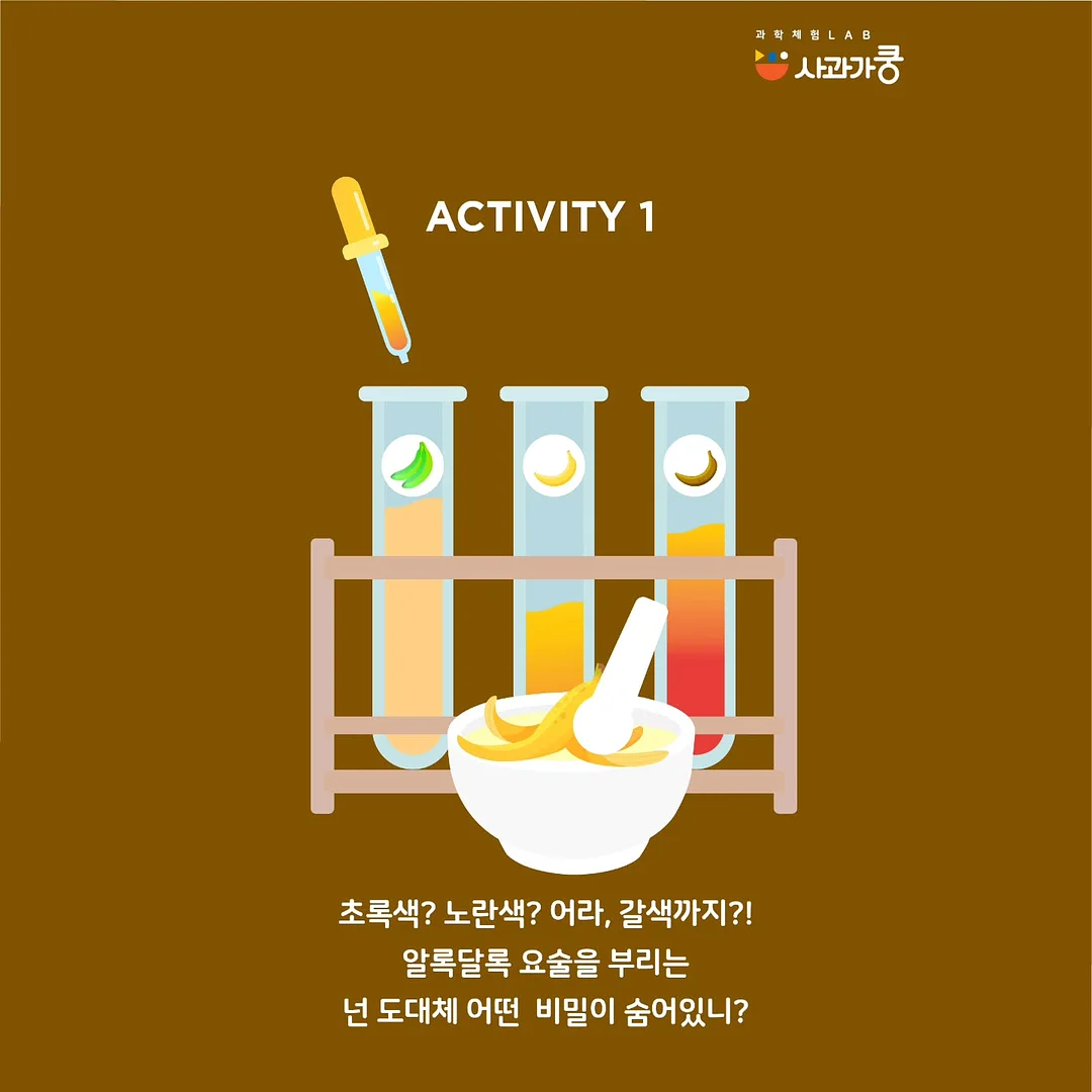 의료용 방수 밴드 2