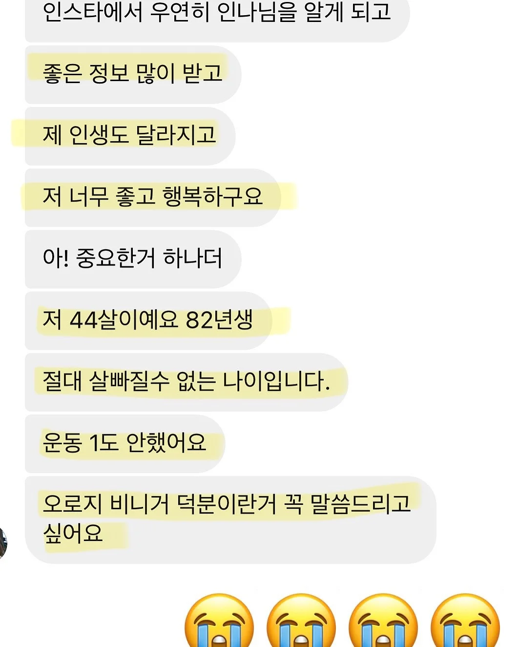 마요원피스 12