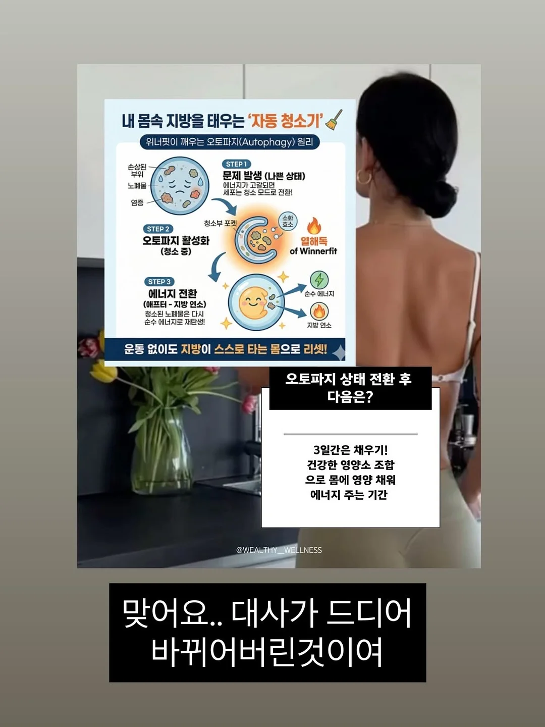 오뜨 애플파이맛 9