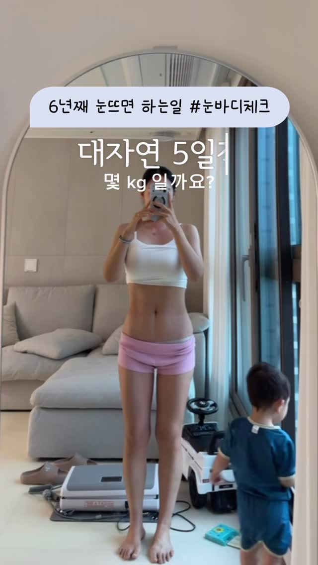 여우 꼬리 차량용 먼지떨이