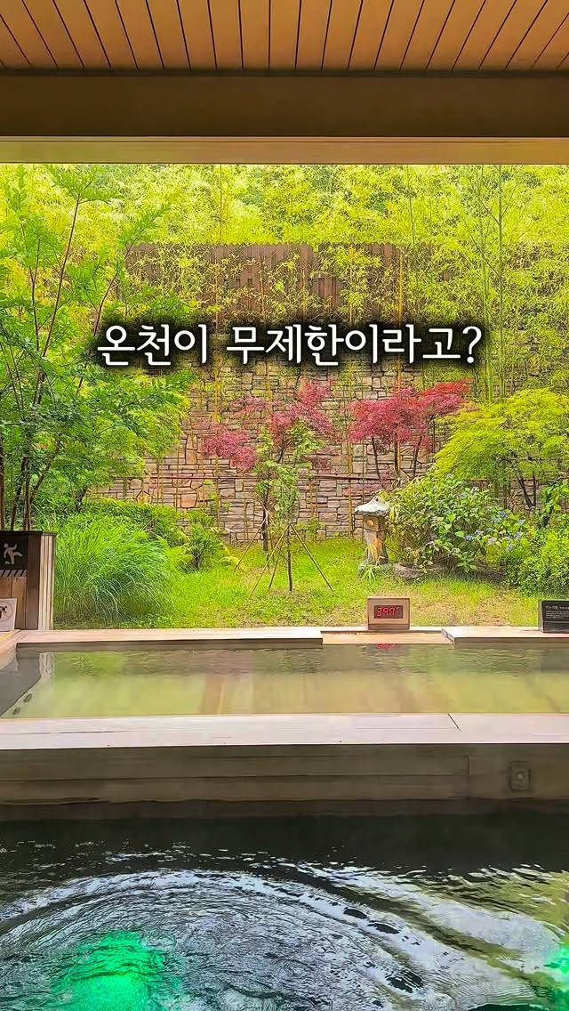 수제간식, 화식, 보양식, 케이크 클래스
