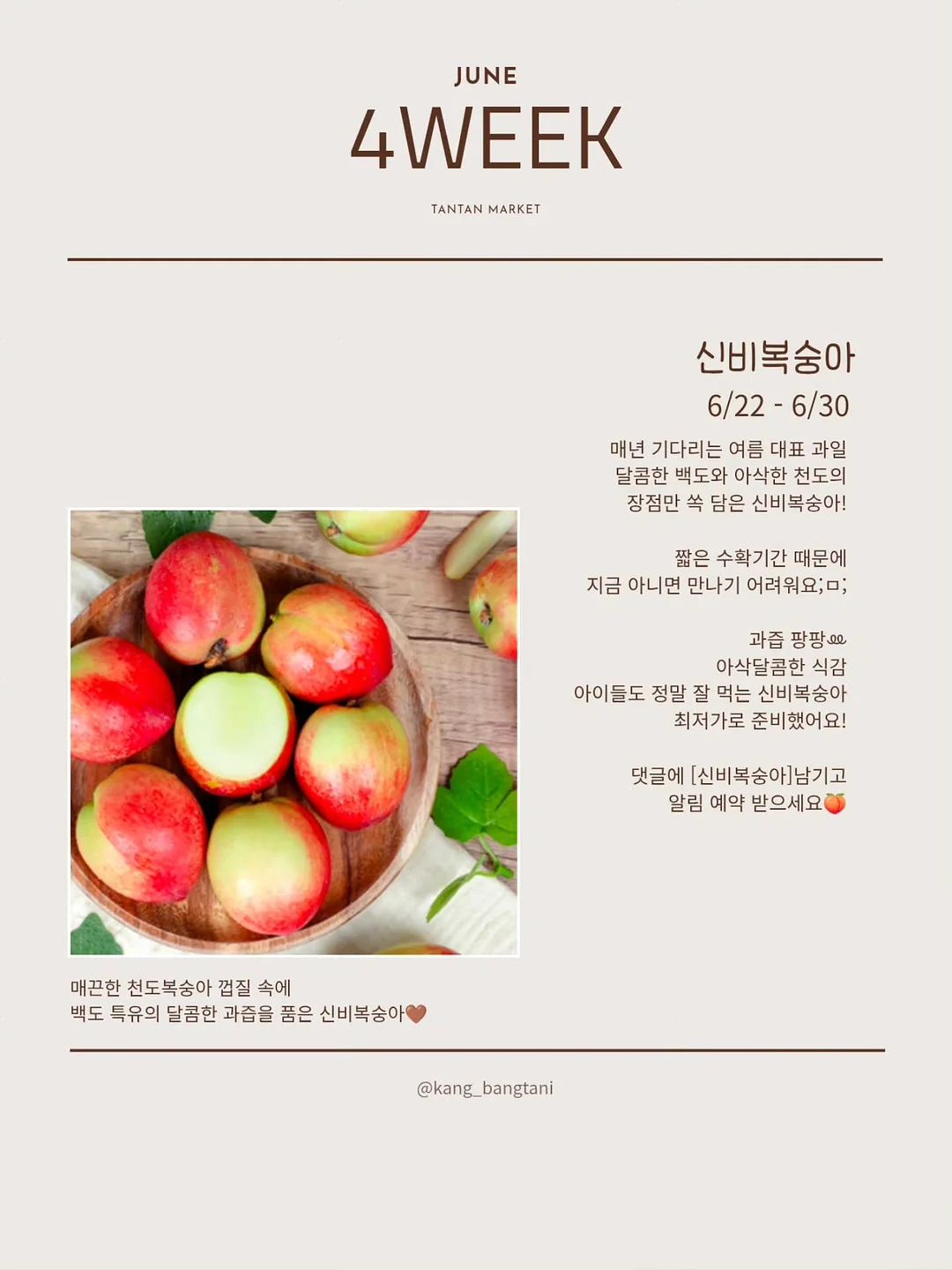다이소 O-ring 5
