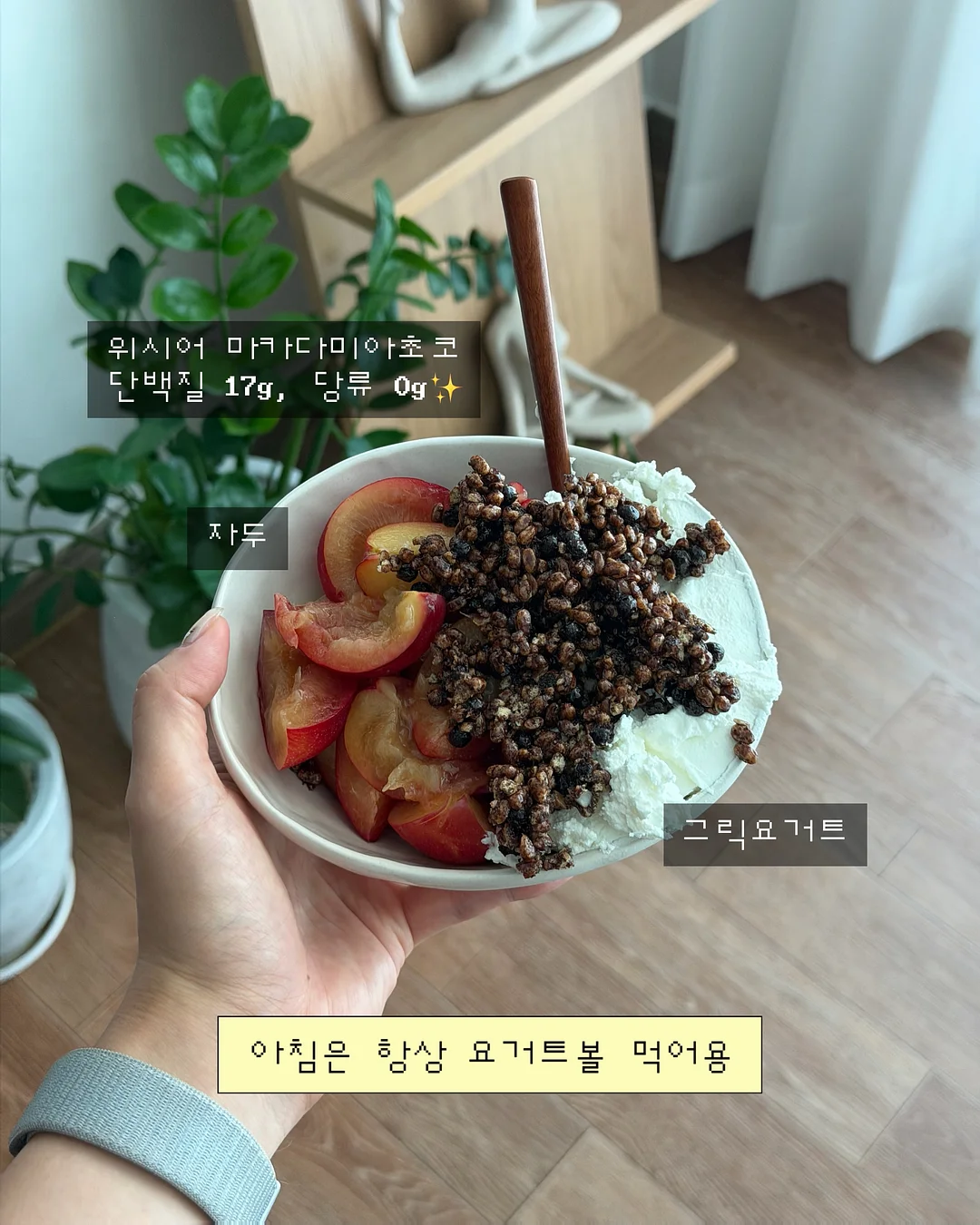 파우더 5