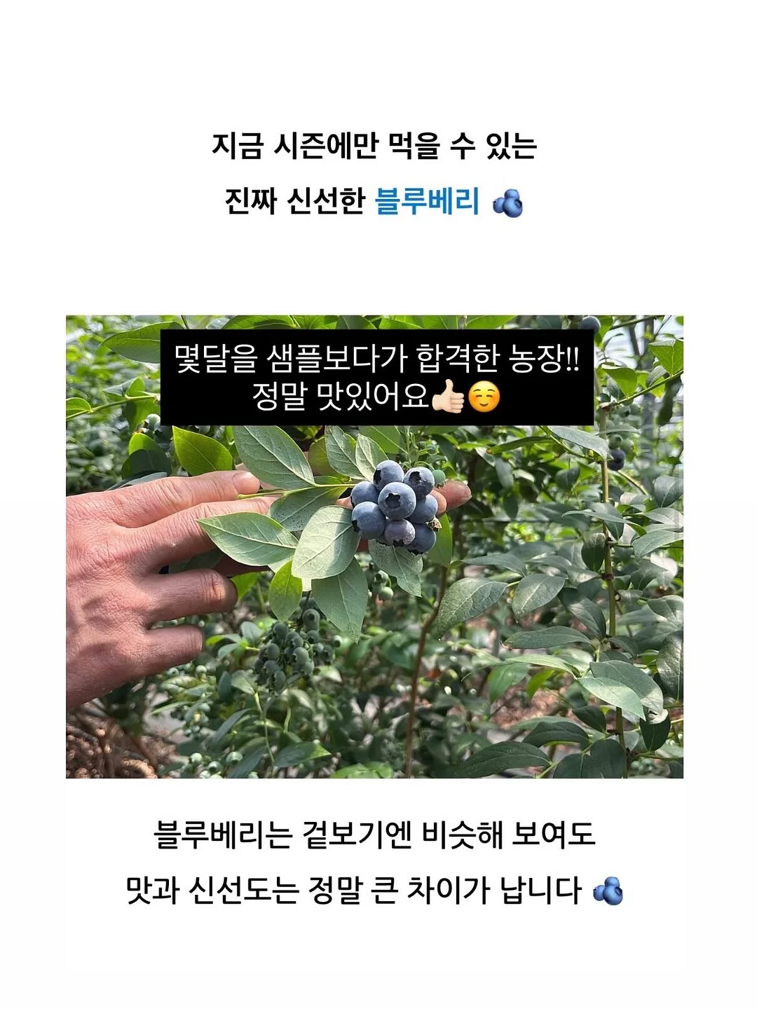 차량용 트레이 12