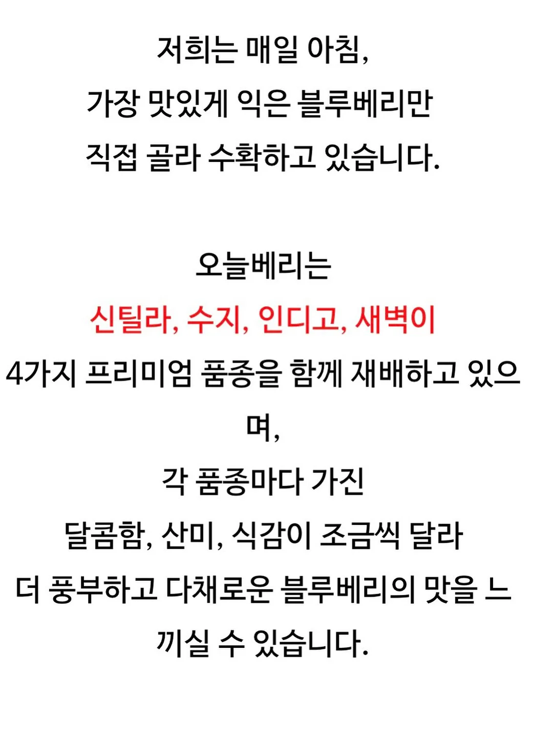 차량용 트레이 13