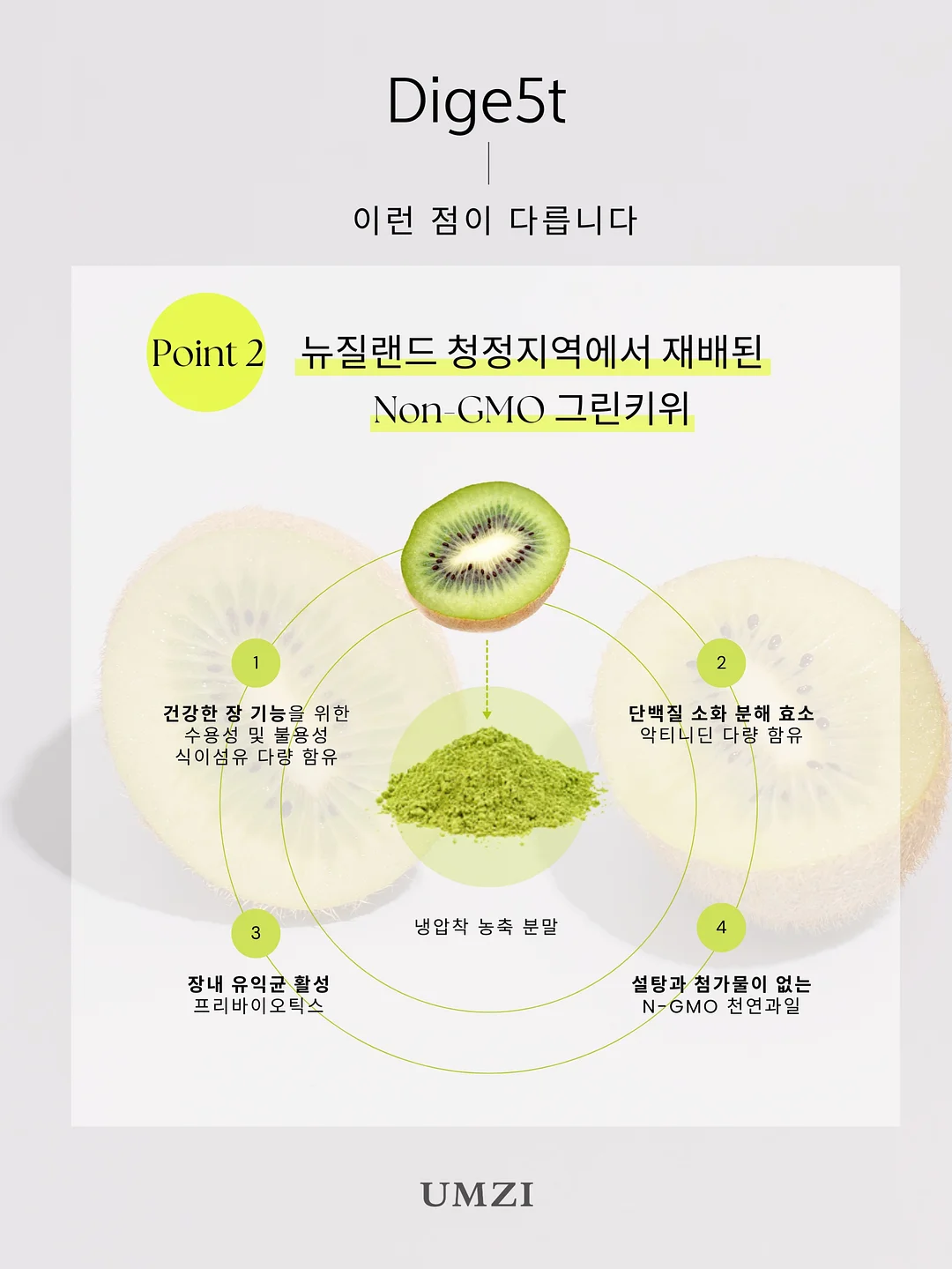 개나리와 나비 화과자 11