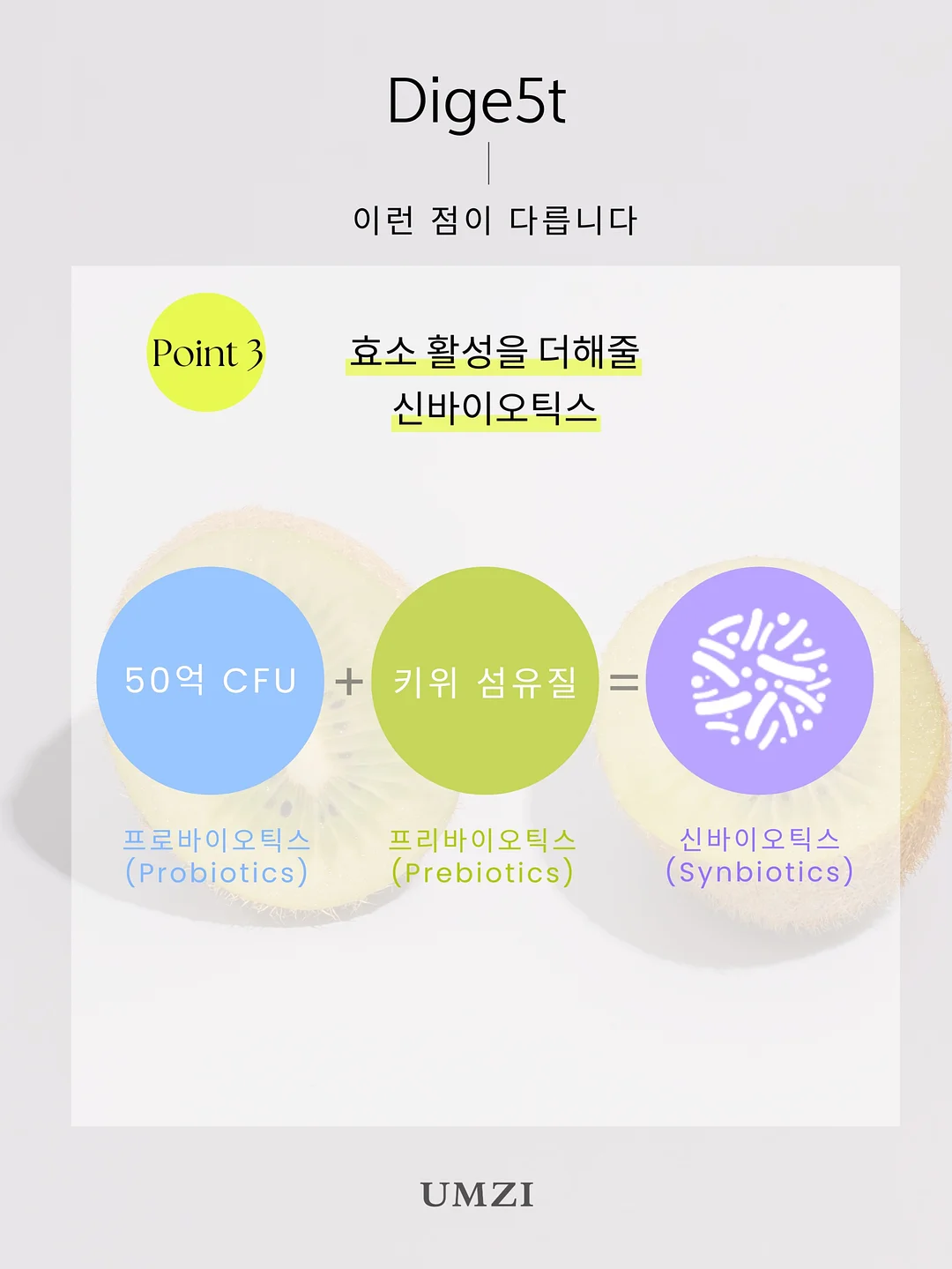 개나리와 나비 화과자 12