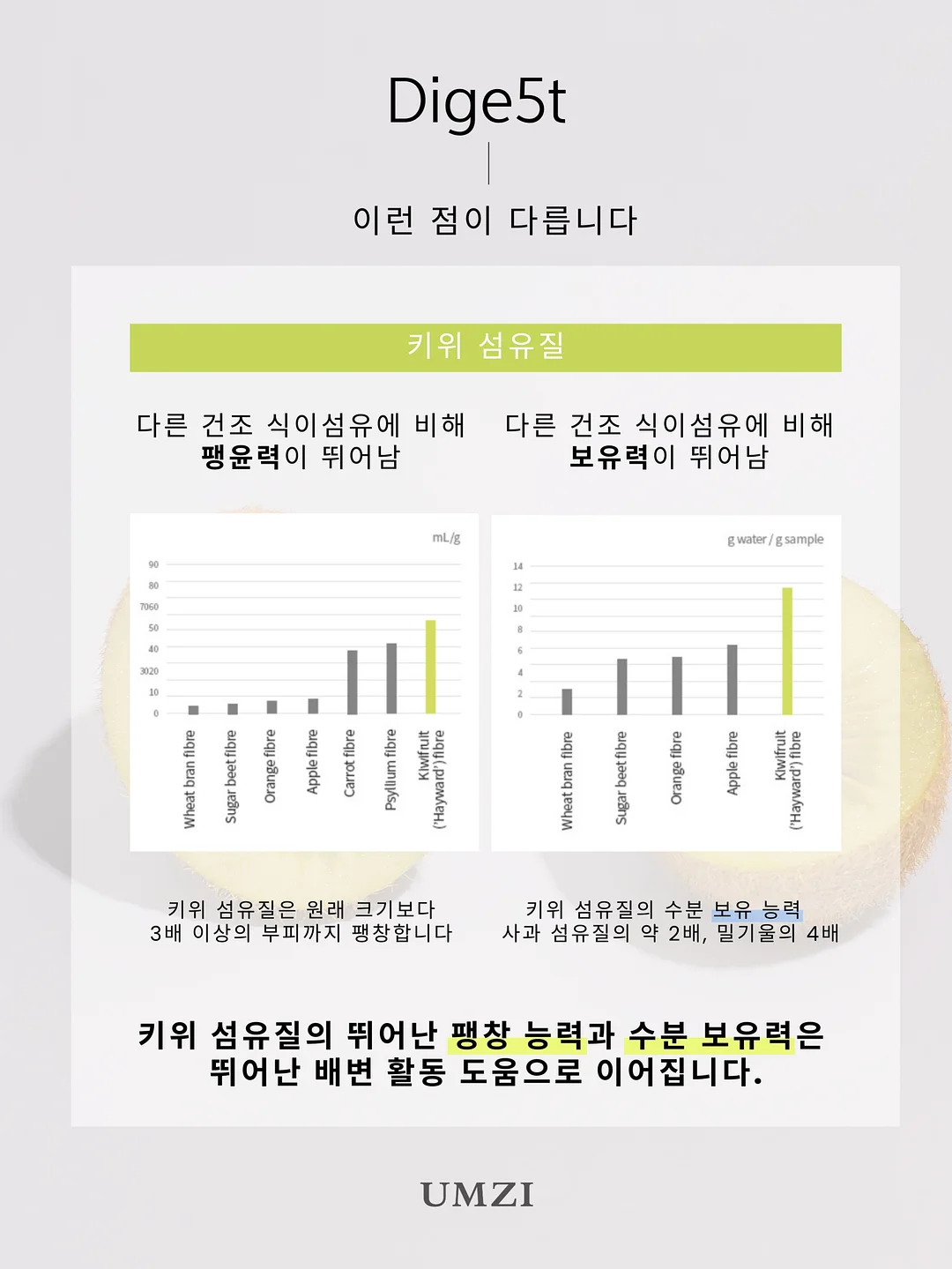 개나리와 나비 화과자 13
