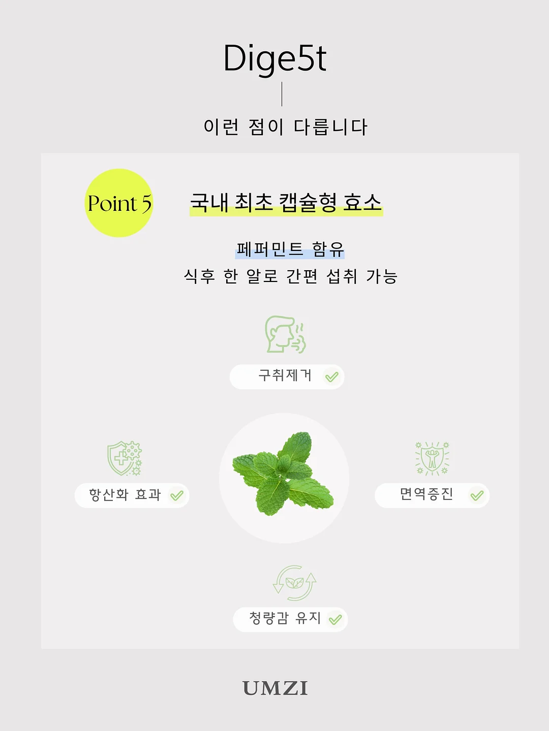 개나리와 나비 화과자 15