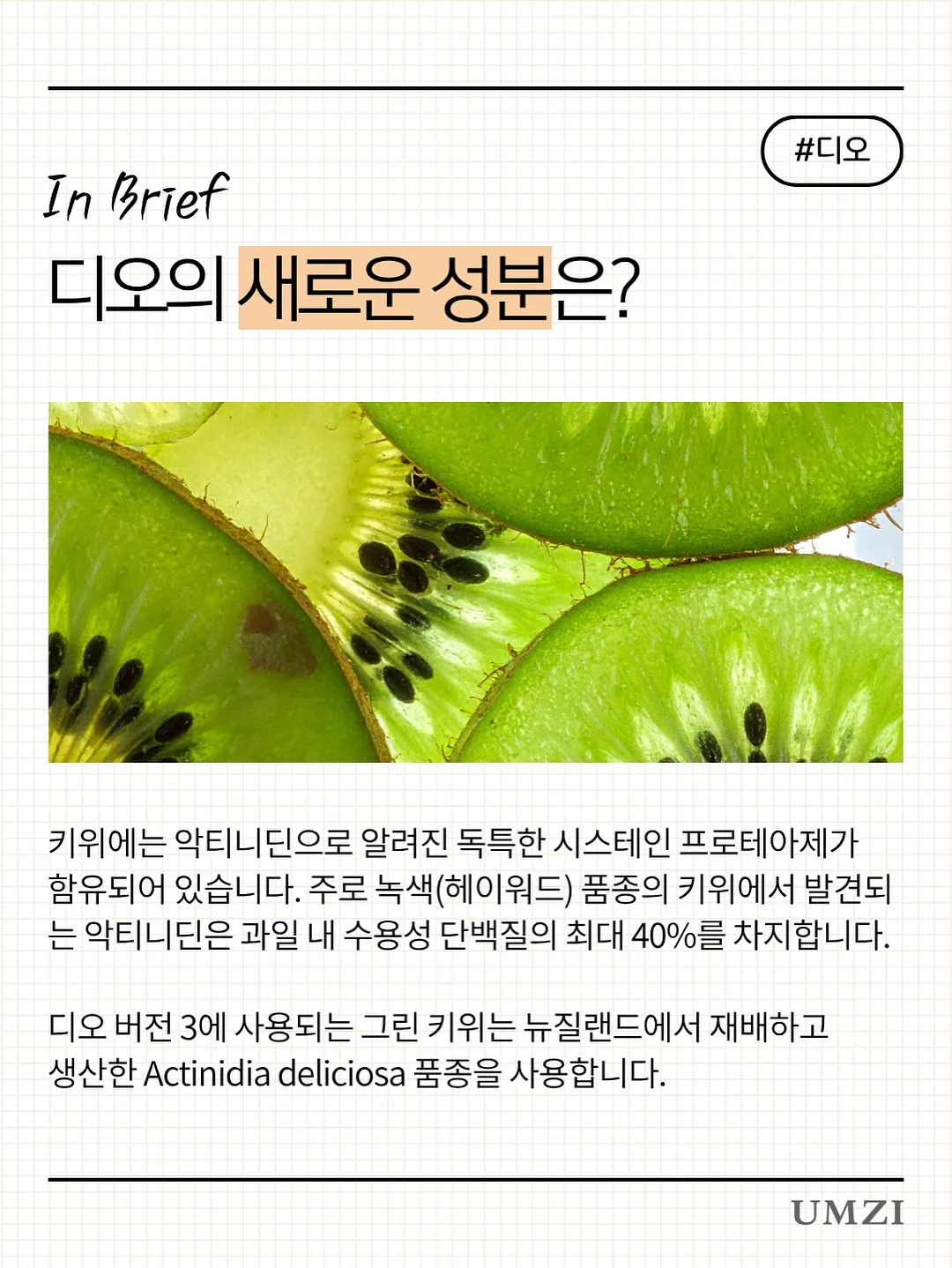 개나리와 나비 화과자 3