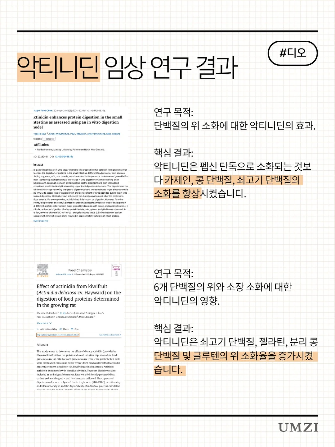 개나리와 나비 화과자 6