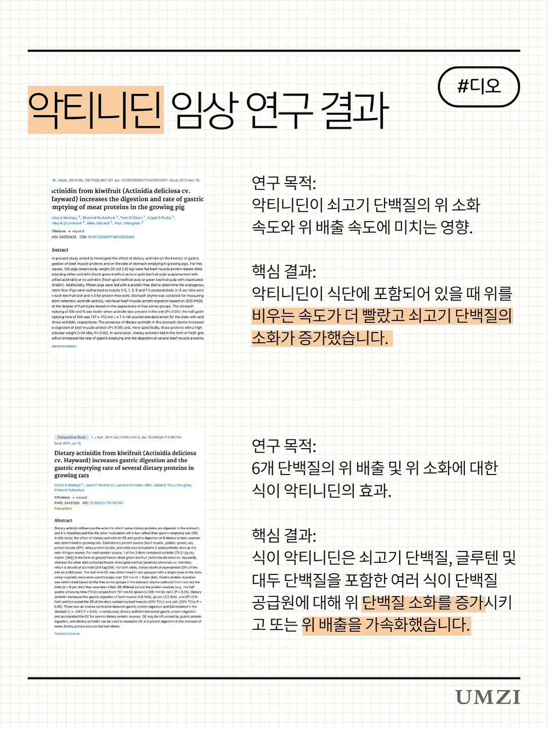 개나리와 나비 화과자 7