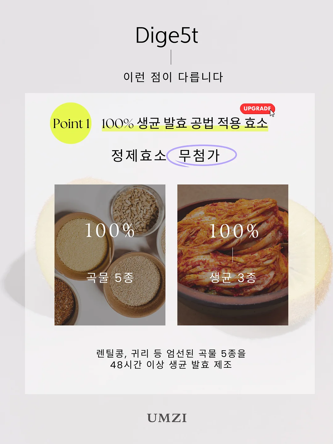 개나리와 나비 화과자 9