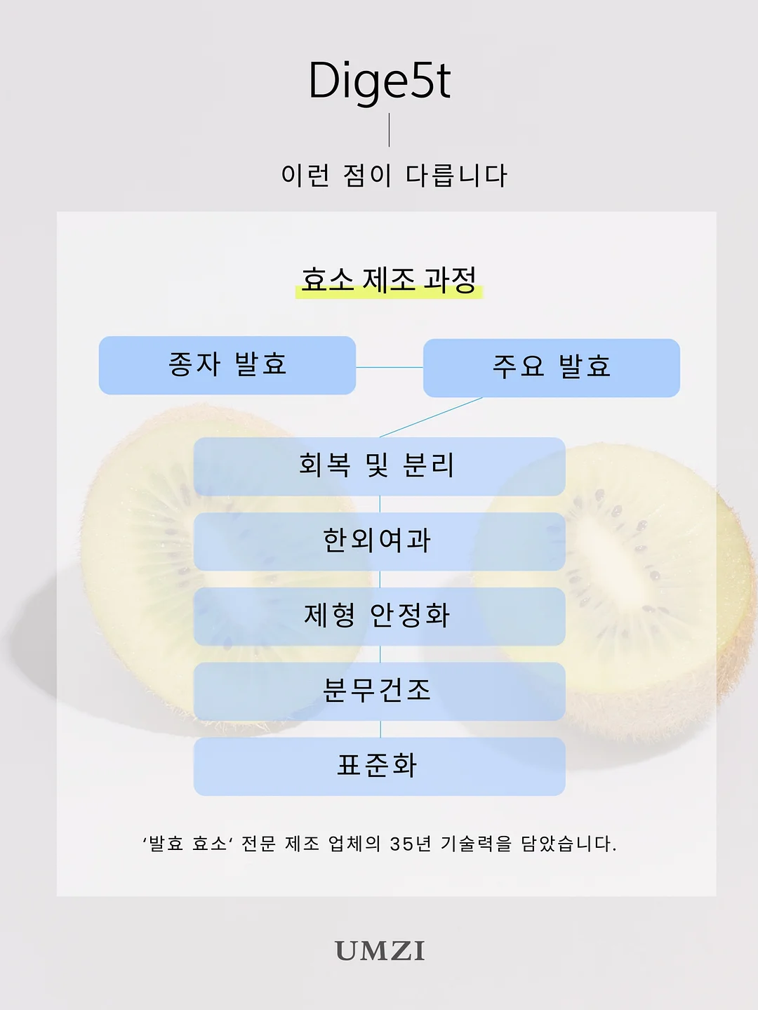 개나리와 나비 화과자 10